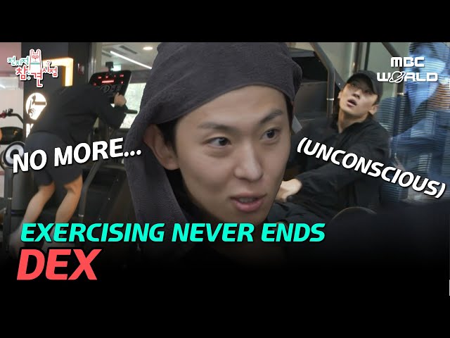 [C.C.] Once a UDT, FOREVER a UDT🔥 DEX working out #DEX