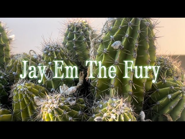 TODAS LAS NOCHES - Jay Em The Fury (Video Oficial)