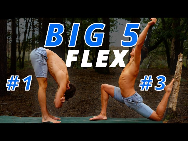 "Big 5" Active Flexibility Routine! (FOLLOW ALONG)