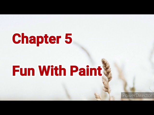 Class 3 Chapter 5 Fun With Paint (about paint, starting paint and components)
