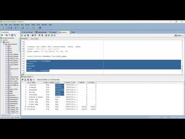 SQL support Job Roles and responsibilities