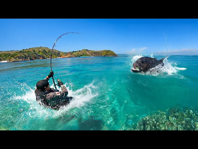 Hooking the Impossible Fish - Catch, Clean, Cook!