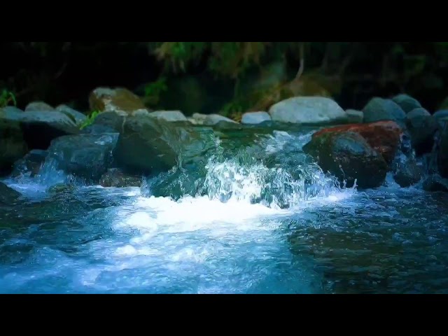 Riverside Nature Sleep Sounds for Deep Rest, Stress Relief & Peaceful Nighttime Mood