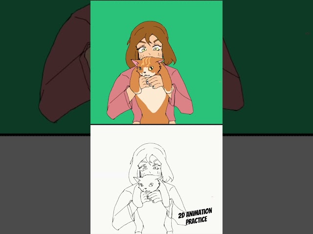 Learning 2D Animation from Scratch