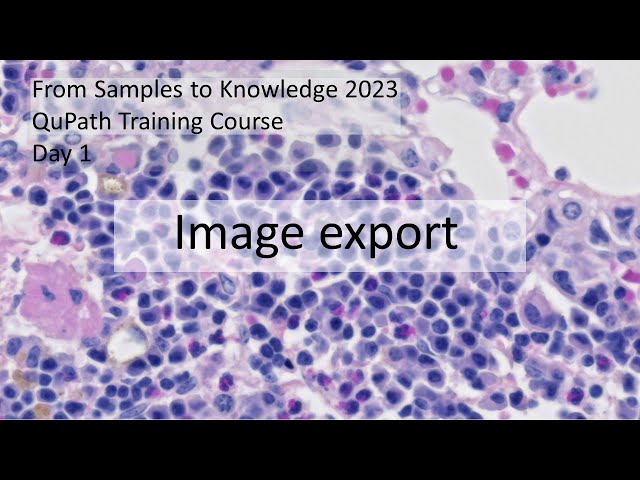 Data Visualization and Image Export