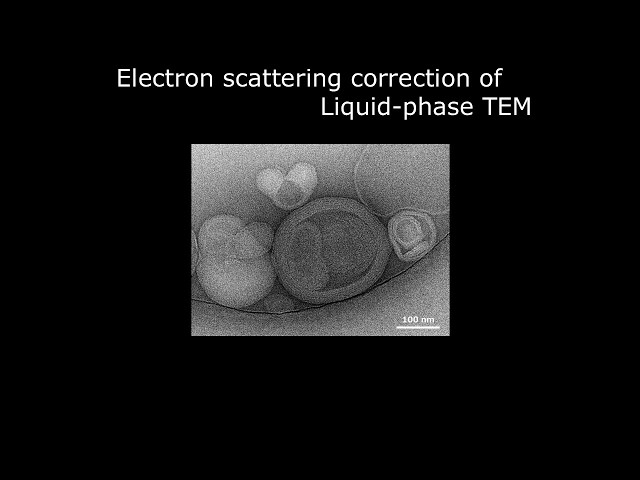 [Life] Electron scattering correction of Liquid-phase TEM