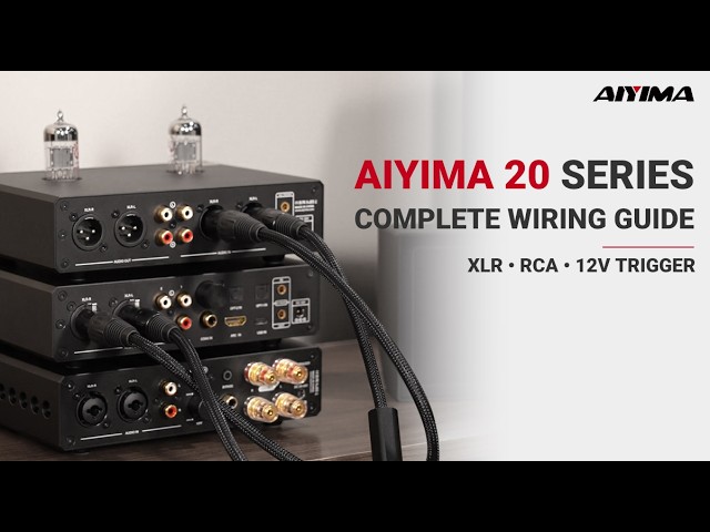 How to Connect the AIYIMA 20 Series? | XLR, RCA & 12V Trigger Guide