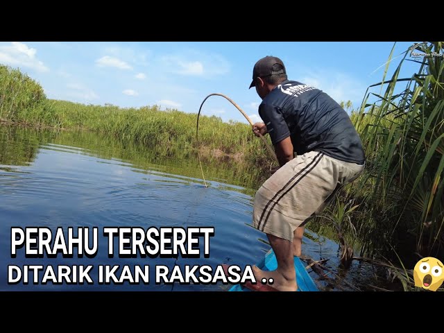 JUST LUCK, THIS BAMBOO ROD CAN CONQUER THE SEBANGAU MONSTER.. 😰😰 ..