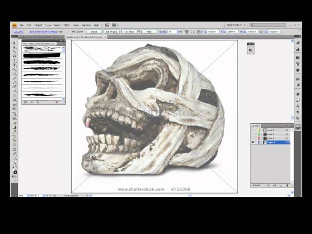 Wacom Tablet Basics - Adobe Illustrator
