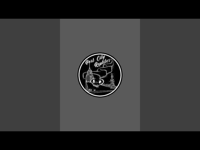 Port City Reptiles is live!