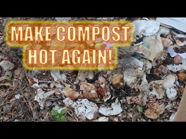 How to Make Compost Hot Again: Four Easy Tricks