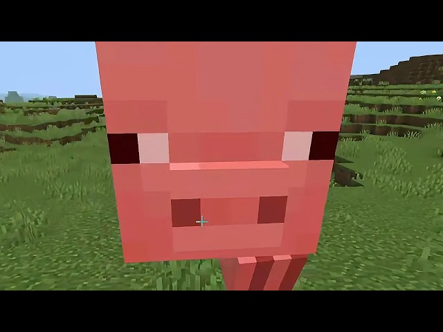 Minecraft is a WILD Experience