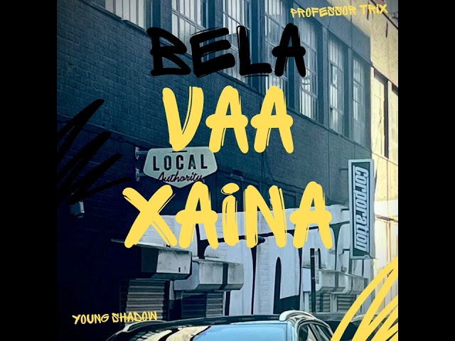 PROFESSOR TRIX:BELA VAA XAINA