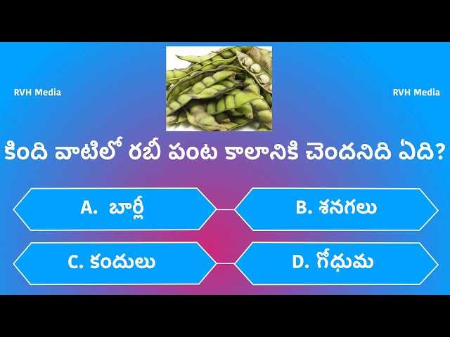 General Knowledge| Interesting  Questions In Telugu | RVH Media