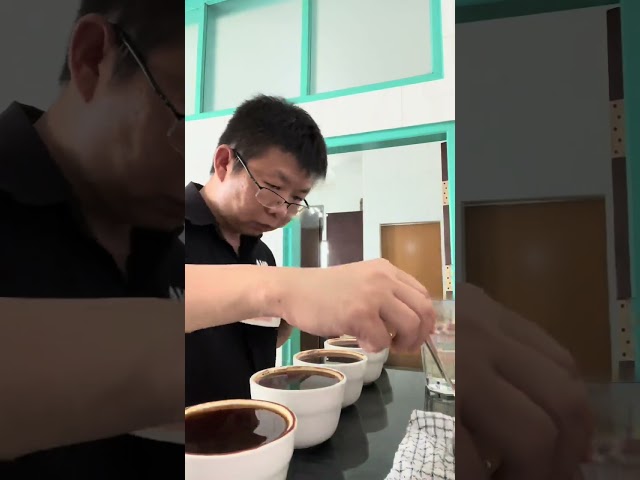 Coffee cupping