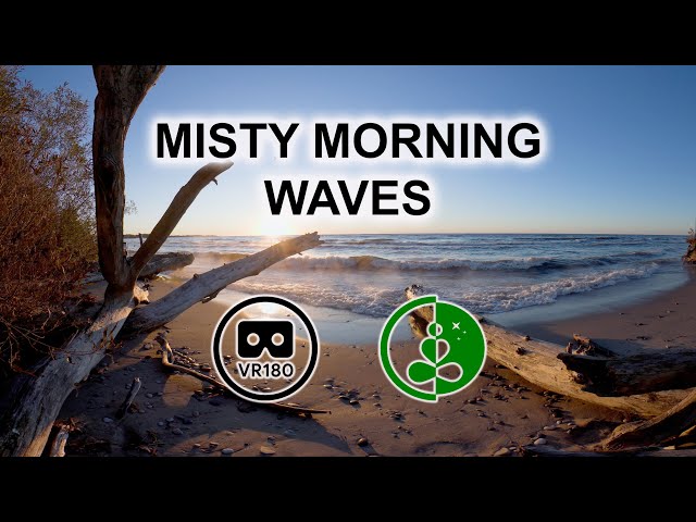 MISTY MORNING WAVES | 8K 3D VR180 Relaxation Video