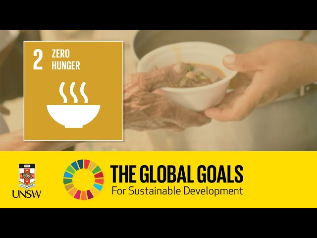 Sustainable Development Goal 2 - End Hunger - Jayashree Arcot