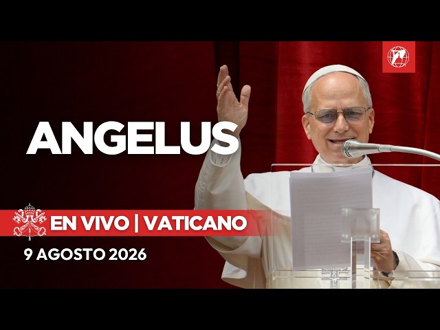 EN VIVO | Ángelus del Papa León XIV desde el Vaticano | 9 de Agosto de 2026