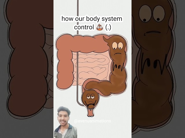 Try Not to Laugh Challenge - IMPOSSIBLE (You WILL Laugh!)Part-124#animation #cartoons #memes #comedy