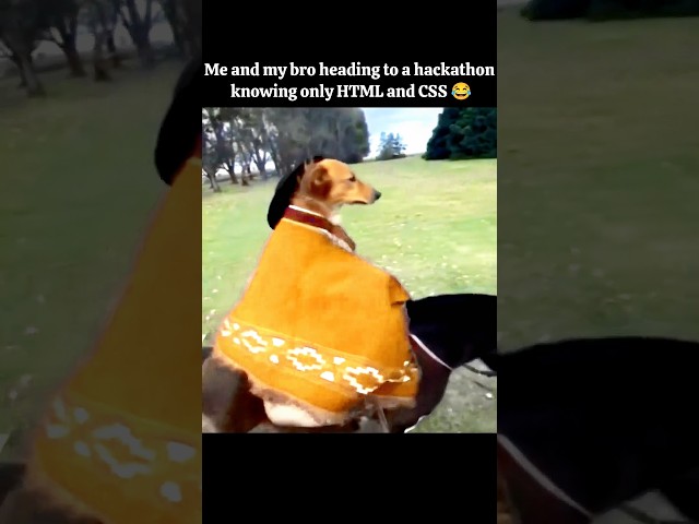 Heading to hackathon with HTML #coding #python  #javascript #html #css #webdevelopment #frontend