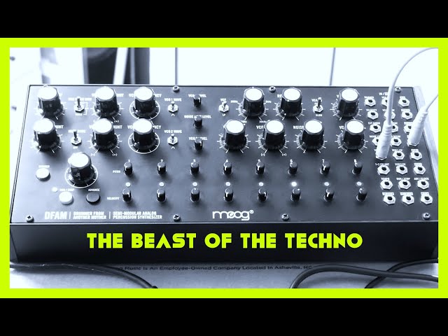 TECHNO Moog DFAM (only)