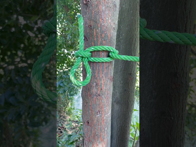 This Knot is Easy to Untie & Quick Learning