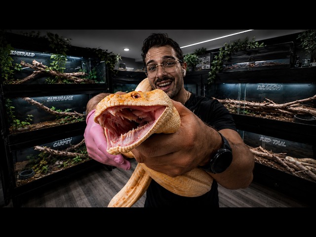 Inside my EXOTIC REPTILE Room! (You Wont Believe It)