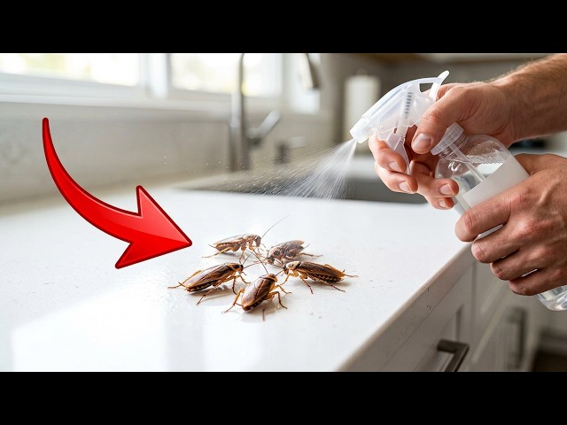 10 Shocking Vinegar and Baking Soda Hacks to Banish Pest Forever