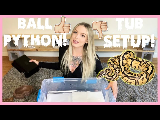 How To Set Up A Ball Python Tub!