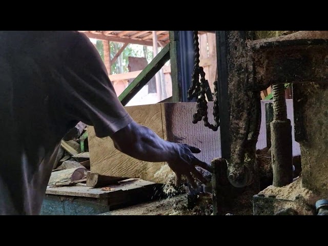 AMAZING Precision! A Modern Sawmill Cuts Giant Logs into Perfect Planks
