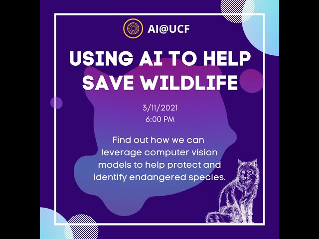 Protecting Wildlife with AI and Computer Vision