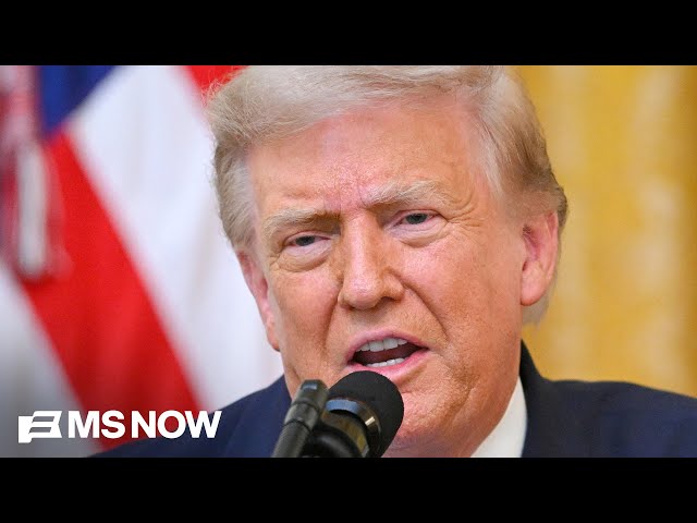 'Brazen corruption': Heather Cox Richardson HUMILIATES Trump but sees a 'VIBE SHIFT' away from MAGA