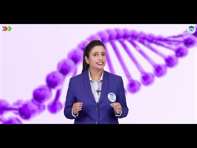 Respiration Explained simply | How Humans, Plants & Fish Actually Breathe | Instaowl Science Class