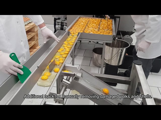 RZ-6 egg breaker with yolks and whites separation from OVO-TECH, Europe