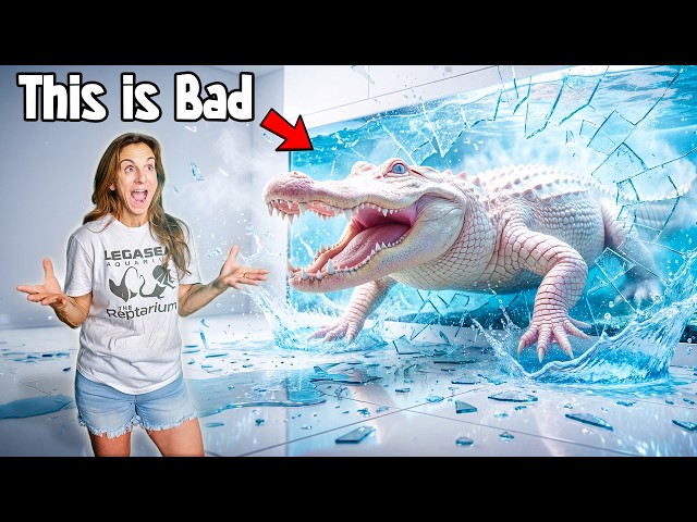 My Albino Alligator Broke Glass in Her ENCLOSURE!! (EMERGENCY)