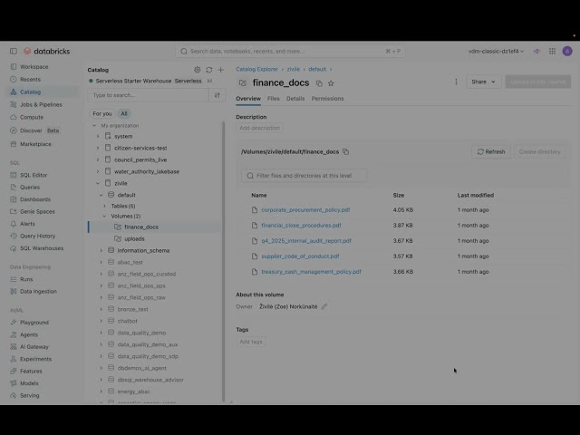 Databricks / SAP Finance Controller Demo