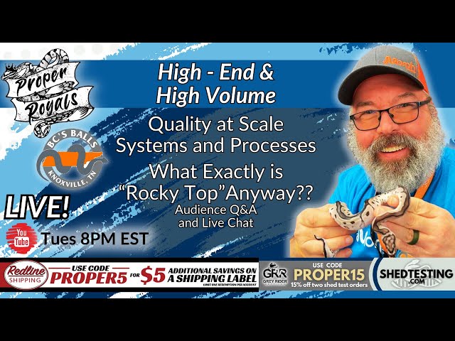 Ball Pythons High Quality, High Volume - Proper Royals Live! w/ BC's Balls