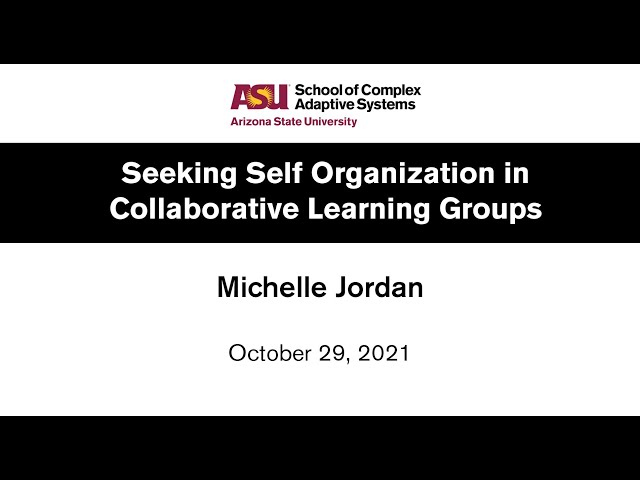 Seeking Self Organization in Collaborative Learning Groups - Michelle Jordan