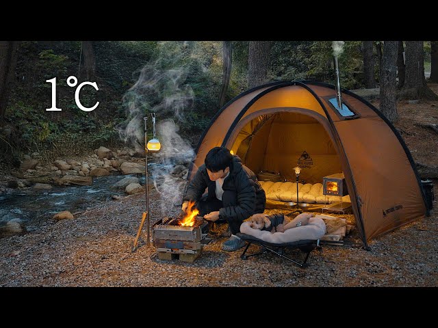 Hot Tent Camping in Forest with My Dog . Roast Fish in the Wild . Wood Stove ASMR