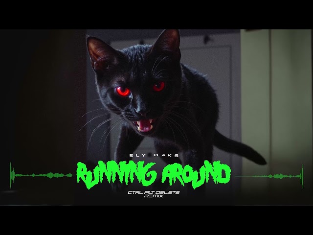 Ely Oaks - Running Around (Control Alt Delete Remix)