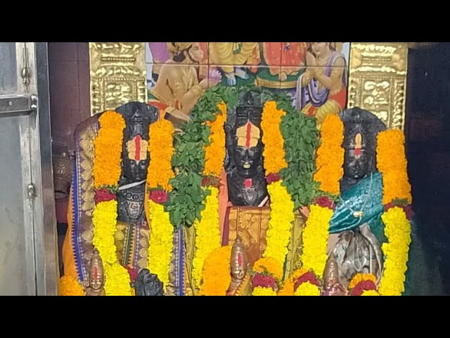 Indian Village Farmer is live