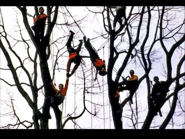 Tree Pruning chapter 3