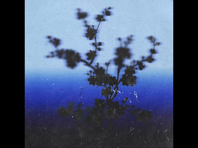 Solace - superdupersultan, @SharehAkhter ft. @UmerAnjum021 - Blue Days