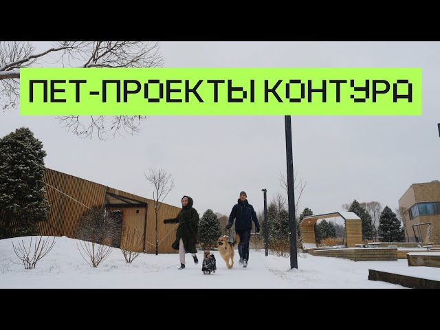 Python developer and IT volunteer Dania Volodkin on helping LizaAlert and Pet911