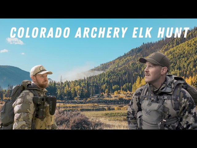 Chasing Bulls in the Mountains!