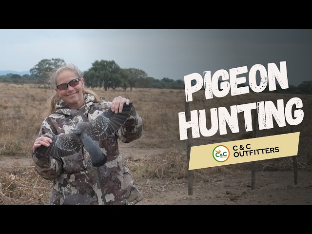 THRILLING DOVE HUNTS with C&C OUTFITTERS - JOIN the ACTION!