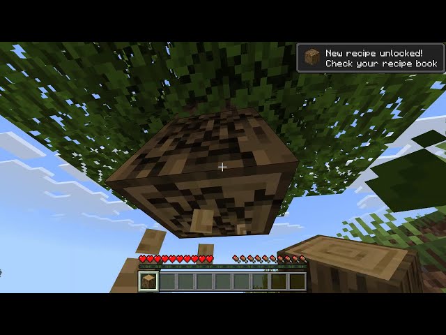 Minecraft but i get RAILED every time i take damage
