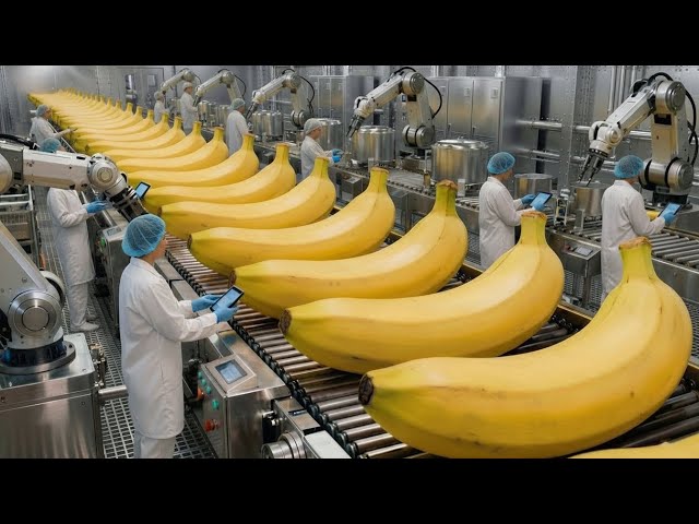 Inside a Fresh Banana Bread Processing Plant: From Fresh Fruit to Perfect Baking (Complete Process)