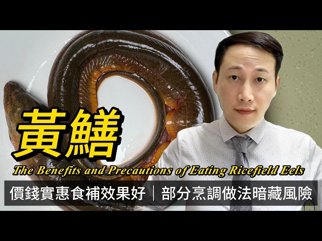 黃鱔，夏食鱔冬食參，營養與食補功效如何？含避孕藥是否屬實？如何降低寄生蟲風險？