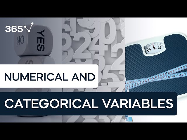 Types of Data: Categorical vs Numerical Data